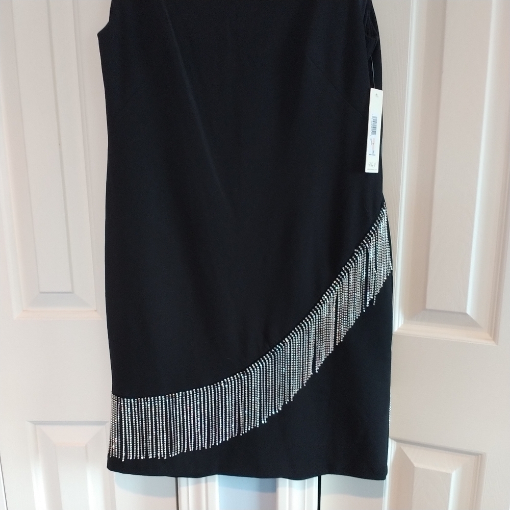 Eliza J Black Sheath Dress with Rhinestone Fringe 2 - Picture 8 of 12